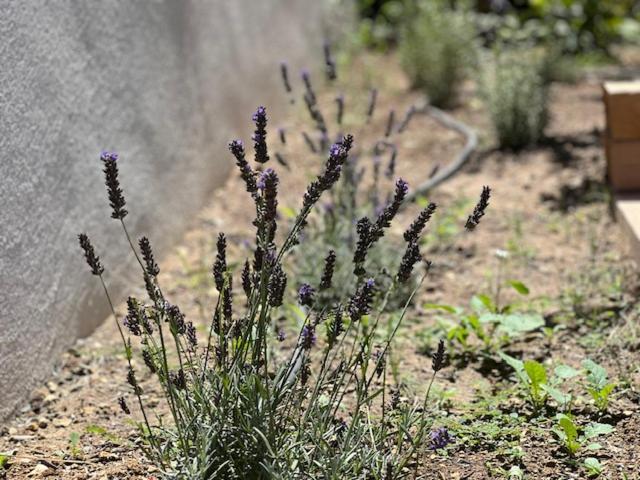 Une Nuit En Luberon Puyvert Eksteriør bilde